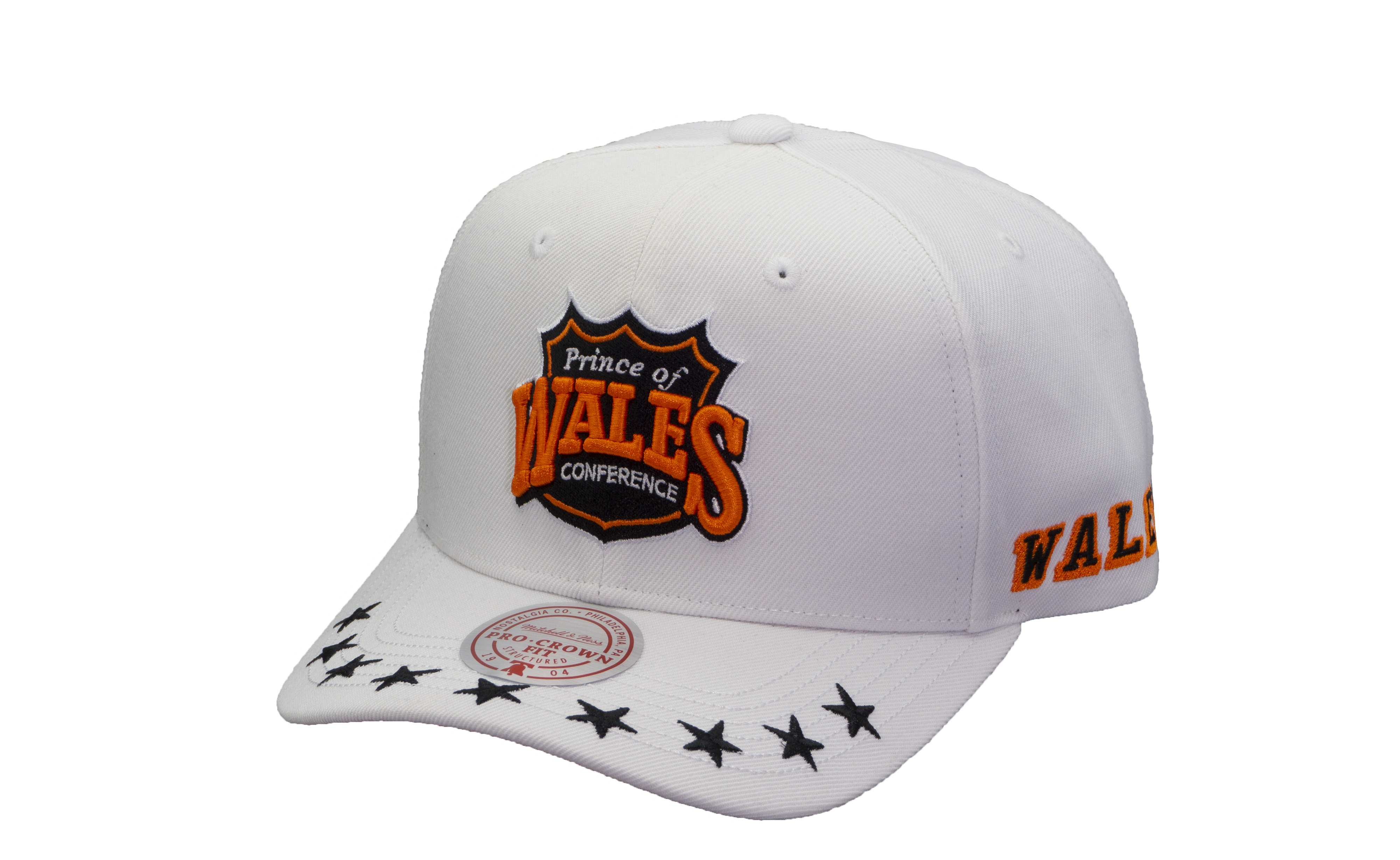 2024 NHL All Star Mitchell & Ness Men's Wales Vintage Snapback