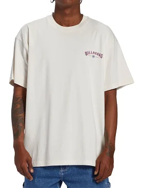 Billabong Men's Arch Wave T-Shirt