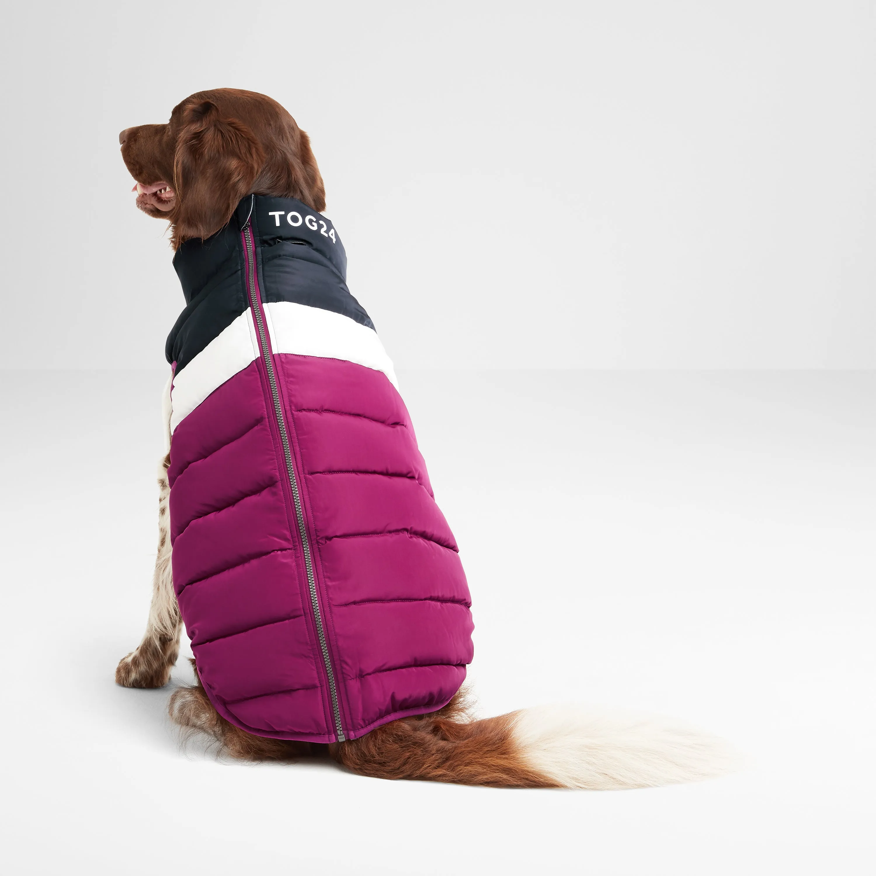 Fetch Padded Dog Coat XL - Purple Berry/Dark Indigo/Optic White