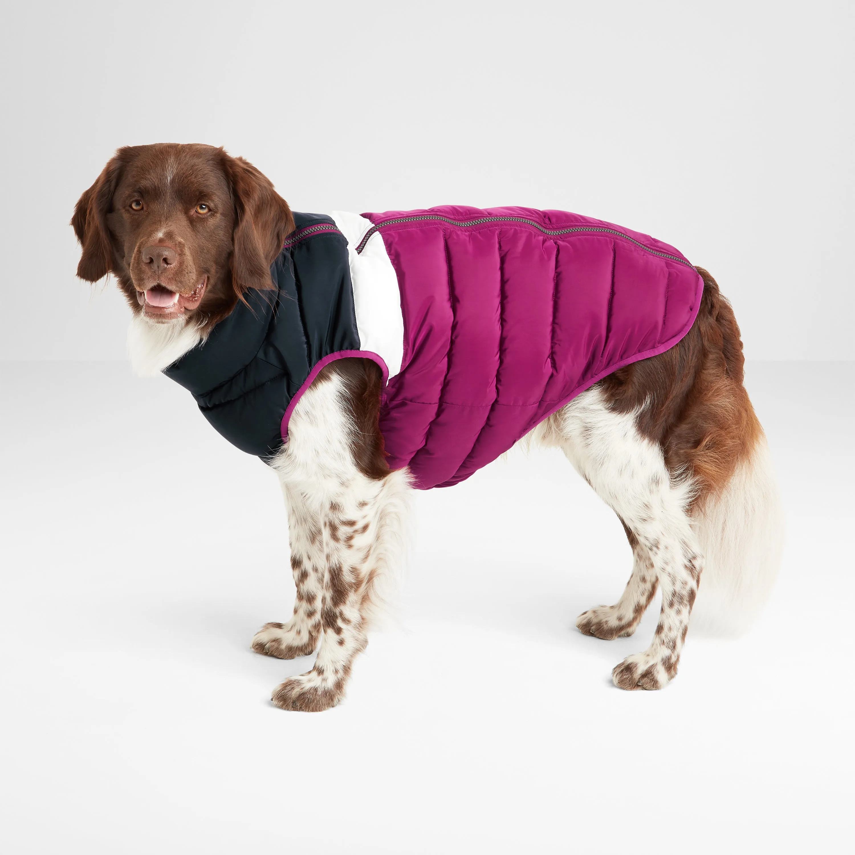 Fetch Padded Dog Coat XL - Purple Berry/Dark Indigo/Optic White