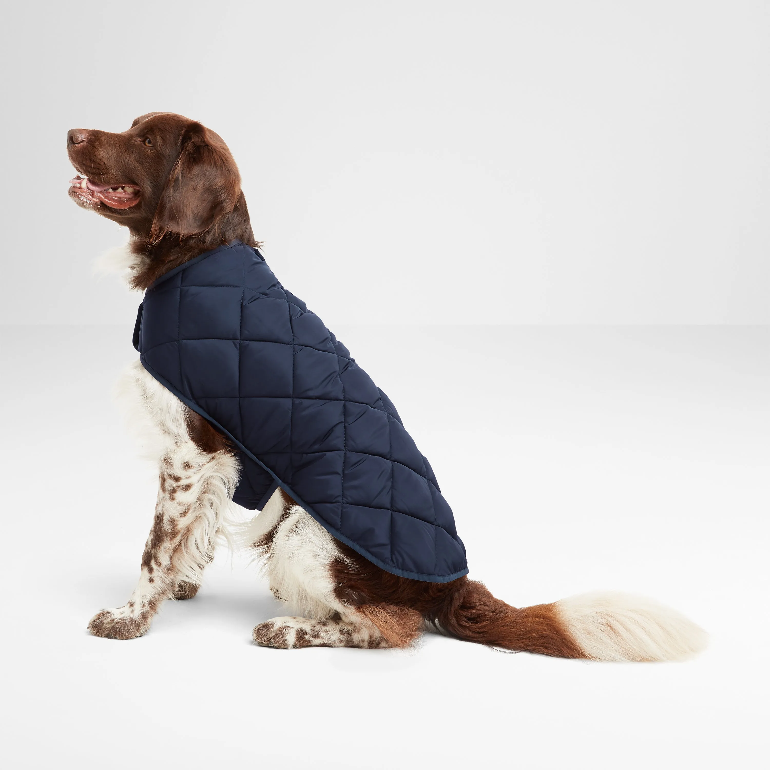 Fido Padded Dog Coat L - Dark Indigo