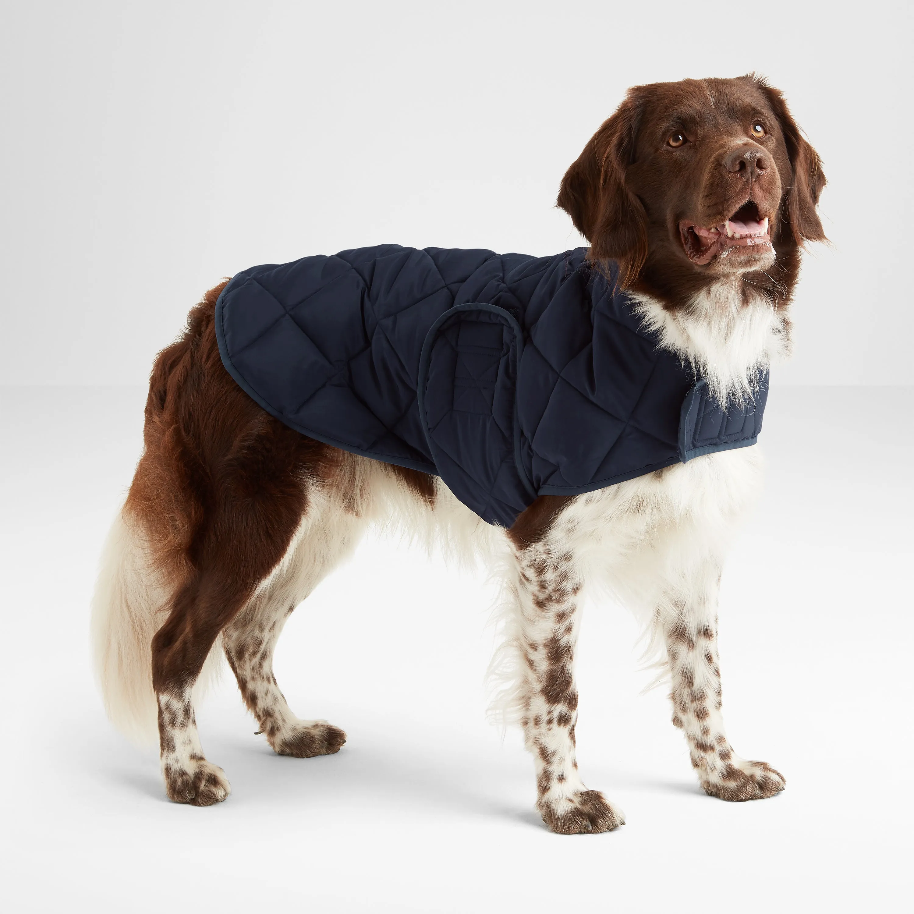 Fido Padded Dog Coat L - Dark Indigo